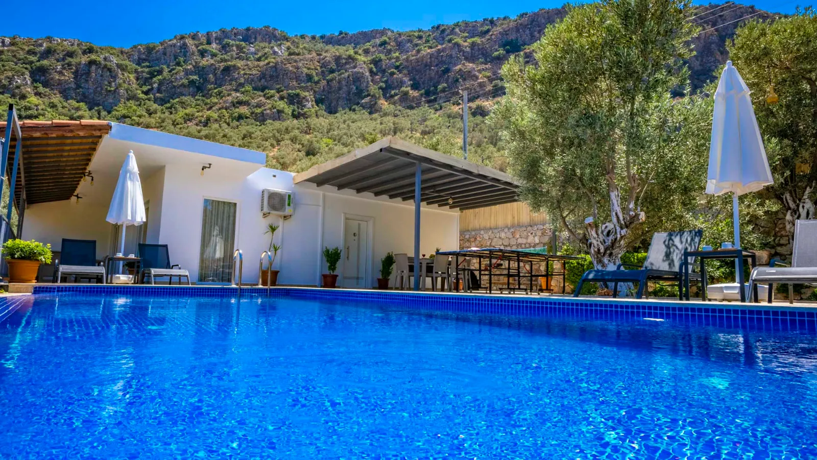Villa Griton — kapak fotoğrafı
